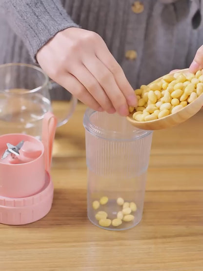 Mini Fruit Juicer